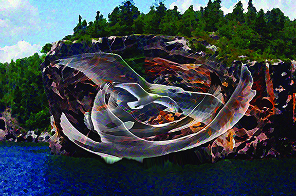 Digital artwork by Michael Dickel of Sea Gulls flying by Lake Superior.