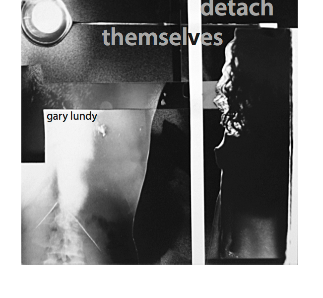 cover image of when voices detach themselves, gary lundy